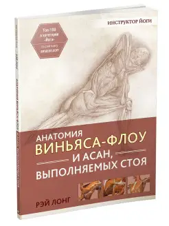 Анатомия виньяса-флоу и асан, выполняемых стоя