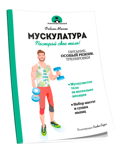 Мускулатура