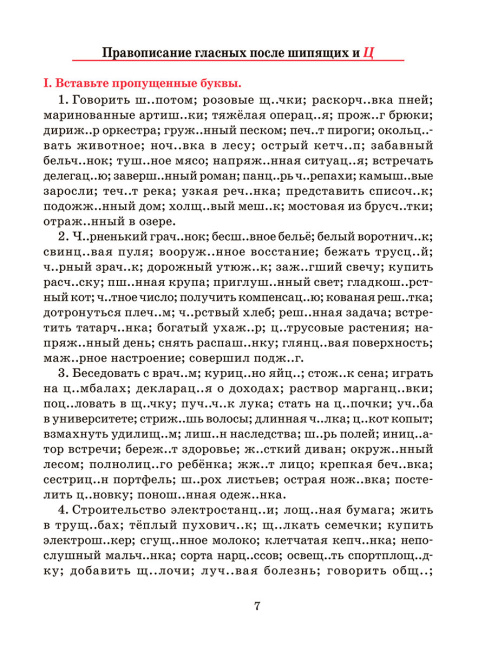 Русский язык. Тренажер по орфографии и пунктуации. 7 класс