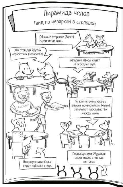 Новенький