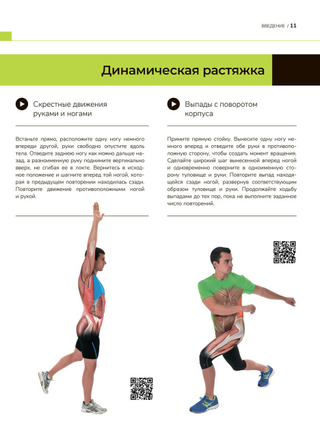 Анатомия лучших упражнений для похудения и фитнеса по системе Massfit