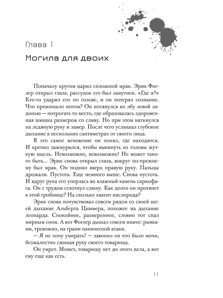 Эрик Фоглер и проклятие замка Мисти