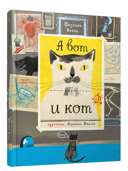 А вот и кот