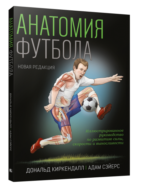 Анатомия футбола