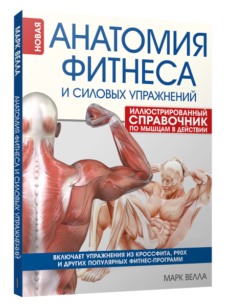 Анатомия фитнеса и силовых упражнений