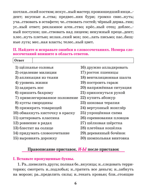 Русский язык. Тренажер по орфографии и пунктуации. 9 класс