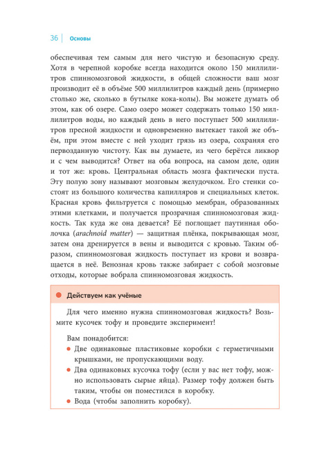 Мой мозг