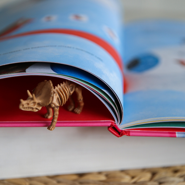 Кости, мозг и всё остальное. Большая книга о том, как работает твоё тело