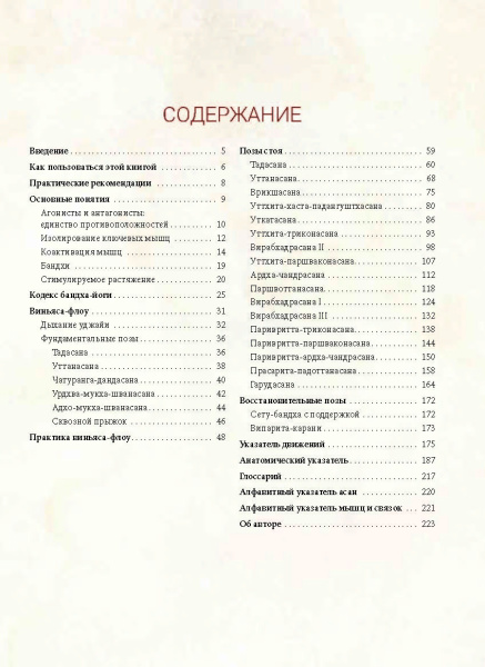 Анатомия виньяса-флоу и асан, выполняемых стоя