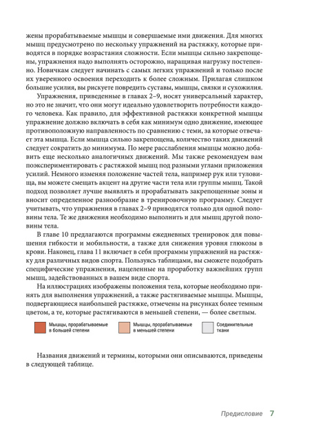 Анатомия упражнений на растяжку