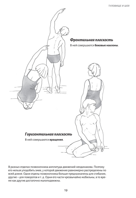 Анатомия движения: основы упражнений