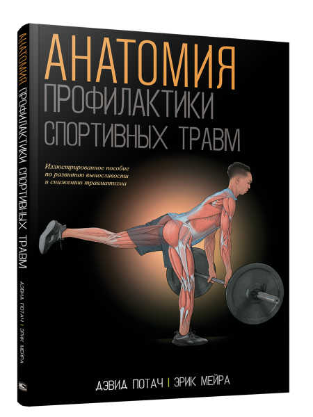 Анатомия профилактики спортивных травм