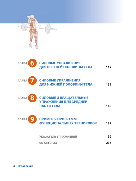 Анатомия функциональных тренировок