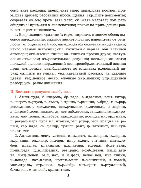 Русский язык. Тренажер по орфографии и пунктуации. 10-11 классы