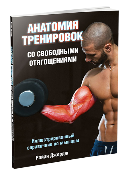 Анатомия тренировок со свободными отягощениями