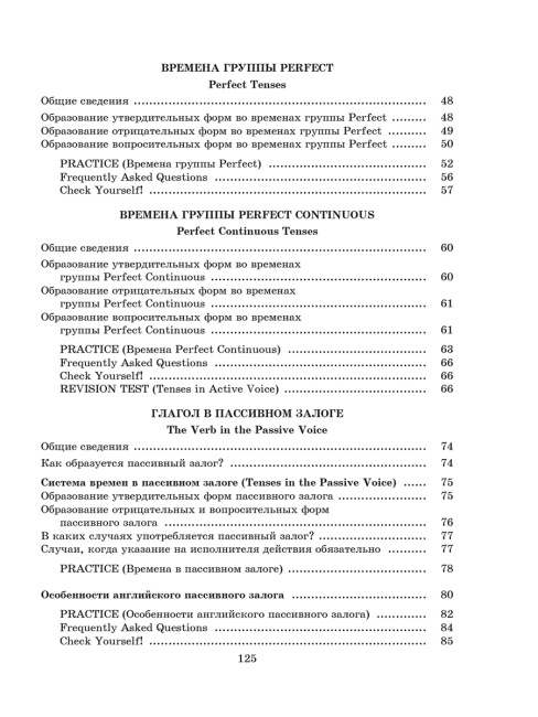 Focus on Verbs: английский язык. Грамматика. Интенсивный курс подготовки к экзамену