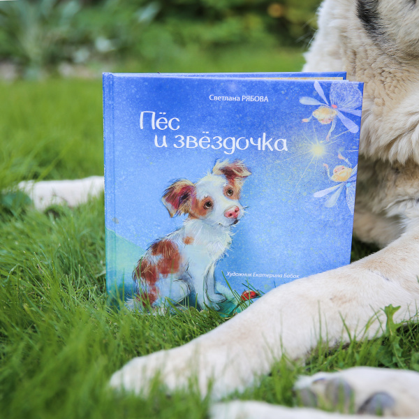 Пёс и звёздочка