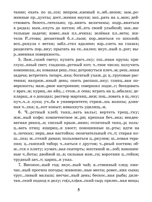 Русский язык. Тренажер по орфографии и пунктуации. 9 класс
