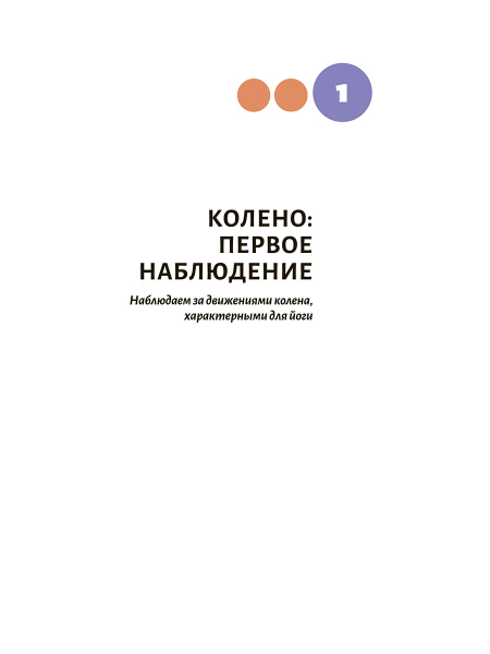 Анатомия йоги: колени
