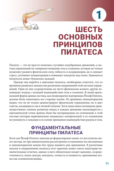 Анатомия пилатеса