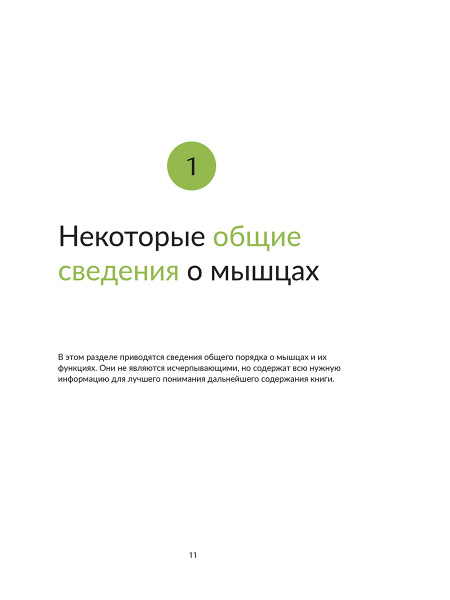 Анатомия йоги: как работают мышцы