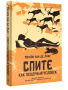 Спите как пещерный человек. Древняя мудрость, которая поможет улучшить ночной сон