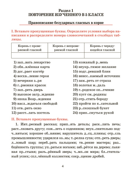 Русский язык. Тренажёр по орфографии и пунктуации. 6 класс