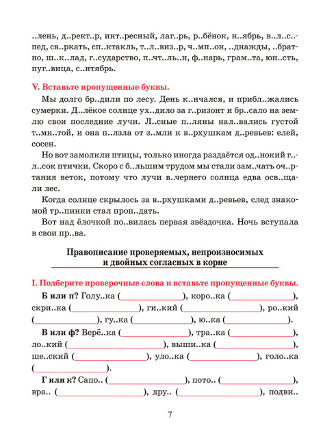 Русский язык. Тренажёр по орфографии и пунктуации. 5 класс