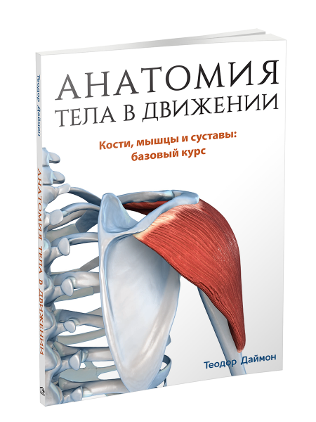 Анатомия тела в движении