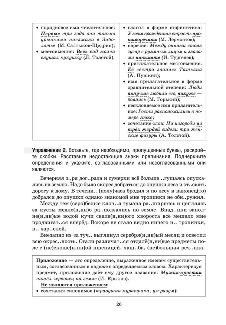 Русский язык на «отлично». 11 класс