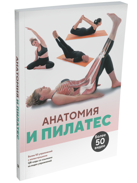 Анатомия и пилатес