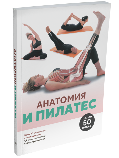Анатомия и пилатес