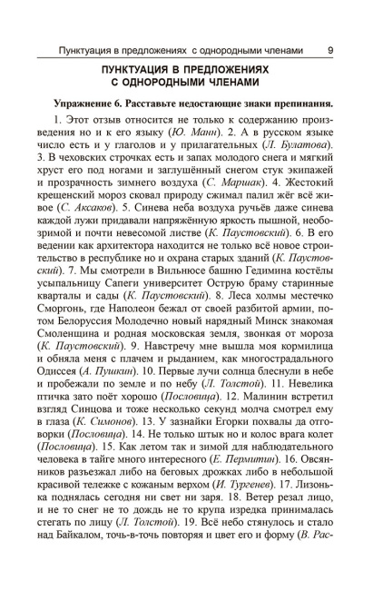 Русский язык. Пунктуация:упражнения и тесты