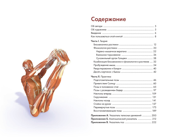Ключевые позы йоги