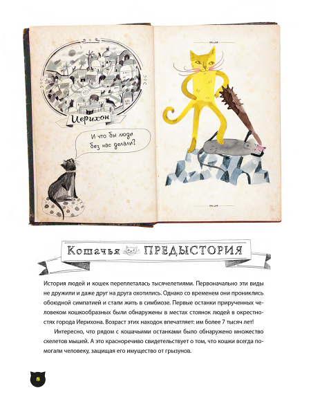 А вот и кот