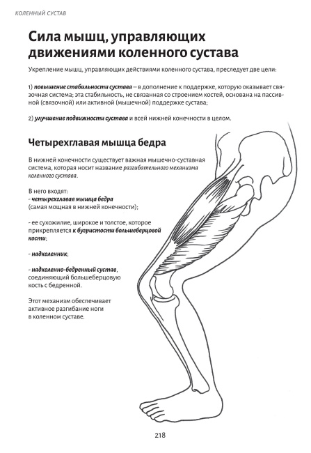 Анатомия движения: основы упражнений