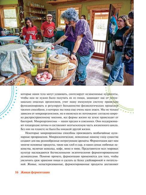 Живая ферментация: как готовить вкусные и полезные крафтовые продукты с дикими культурами
