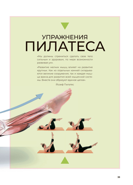 Анатомия и пилатес