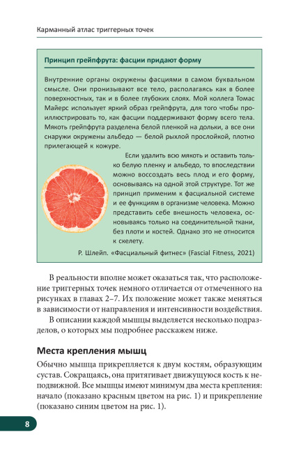 Карманный атлас триггерных точек: Иллюстрированное руководство по анатомии мышц, зонам боли и миофасциальным меридианам