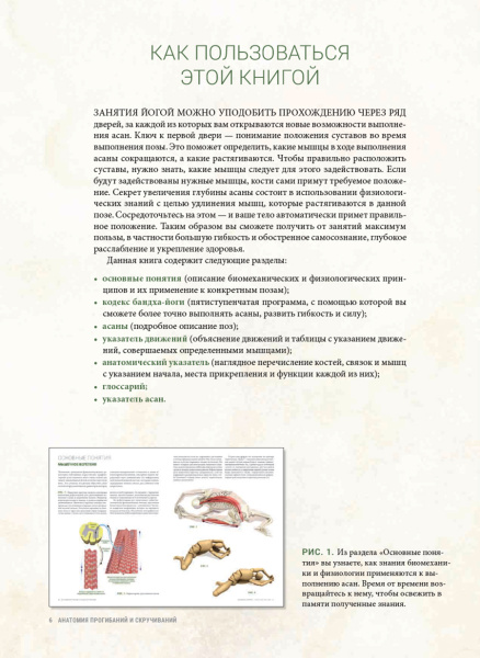 Анатомия прогибаний и скручиваний