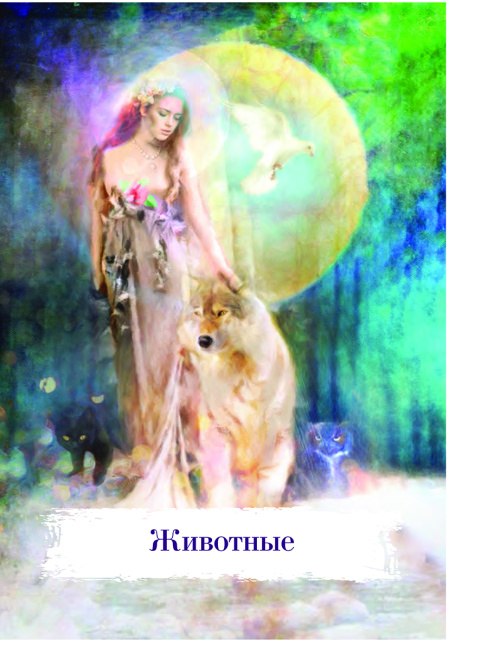 Магические карты-заклинания