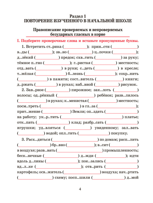 Русский язык. Тренажёр по орфографии и пунктуации. 5 класс