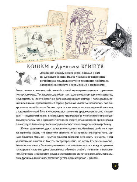 А вот и кот