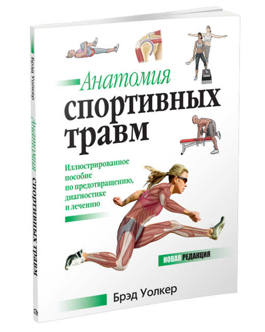 Анатомия спортивных травм