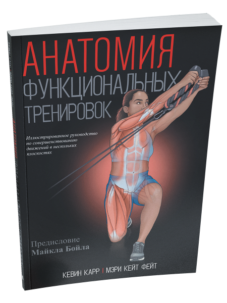 Анатомия функциональных тренировок