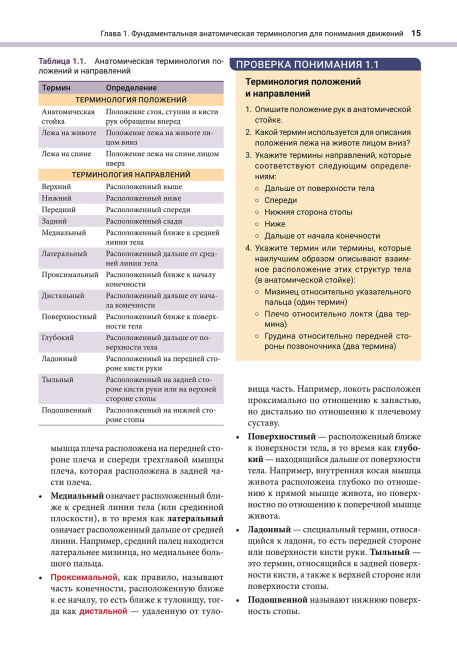 Анатомия и кинезиология танца