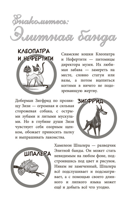 Банда бродяг: лапа лапу моет