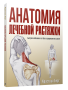 Анатомия лечебной растяжки