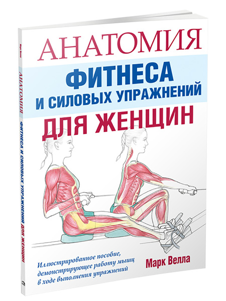Анатомия фитнеса и силовых упражнений для женщин
