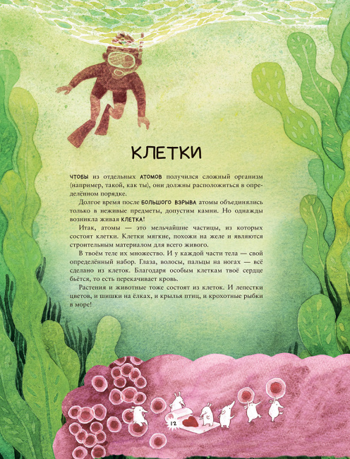 Калейдоскоп науки